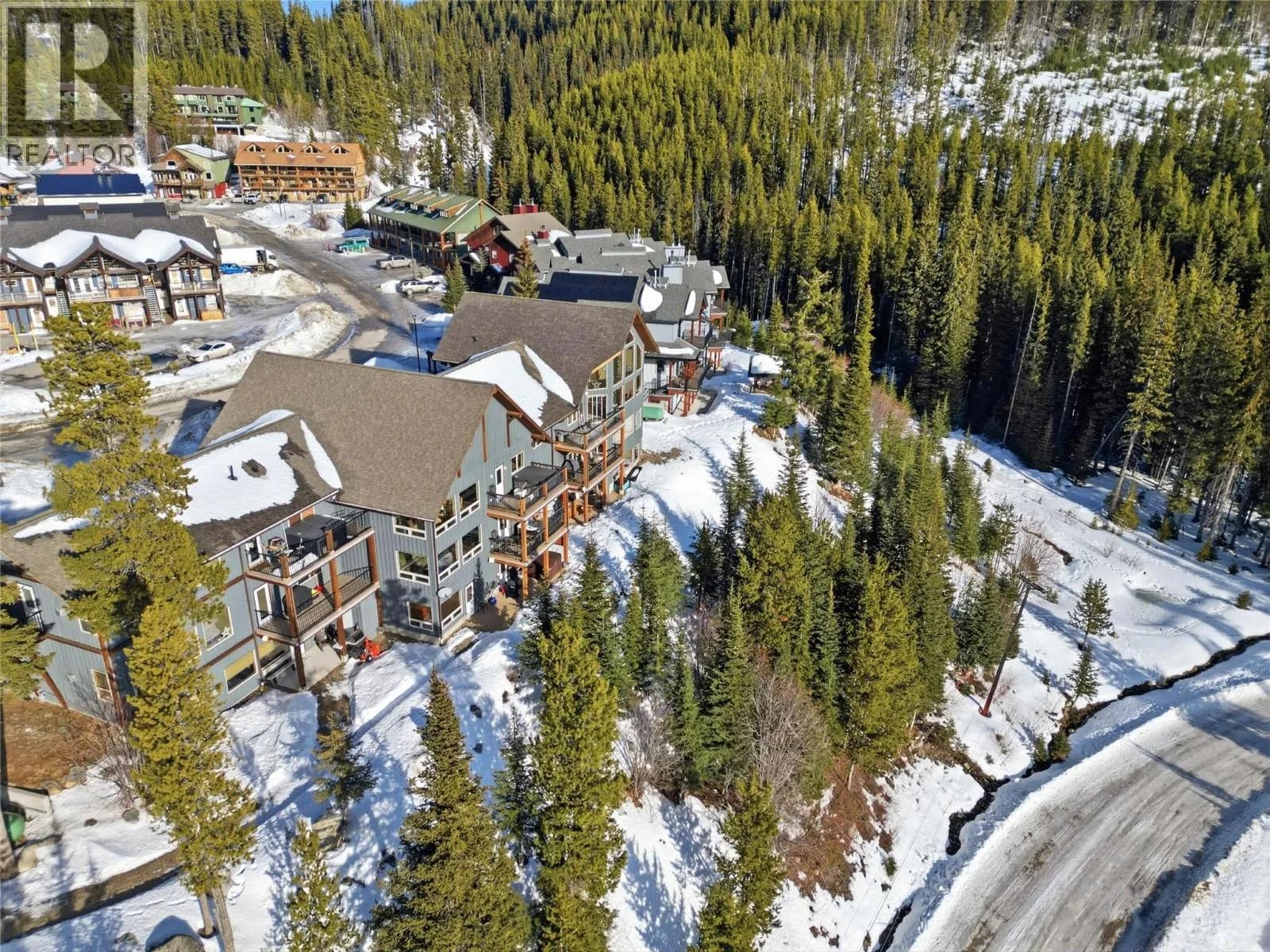 #2 101 Clearview Crescent, Apex Mountain, BC photo 5