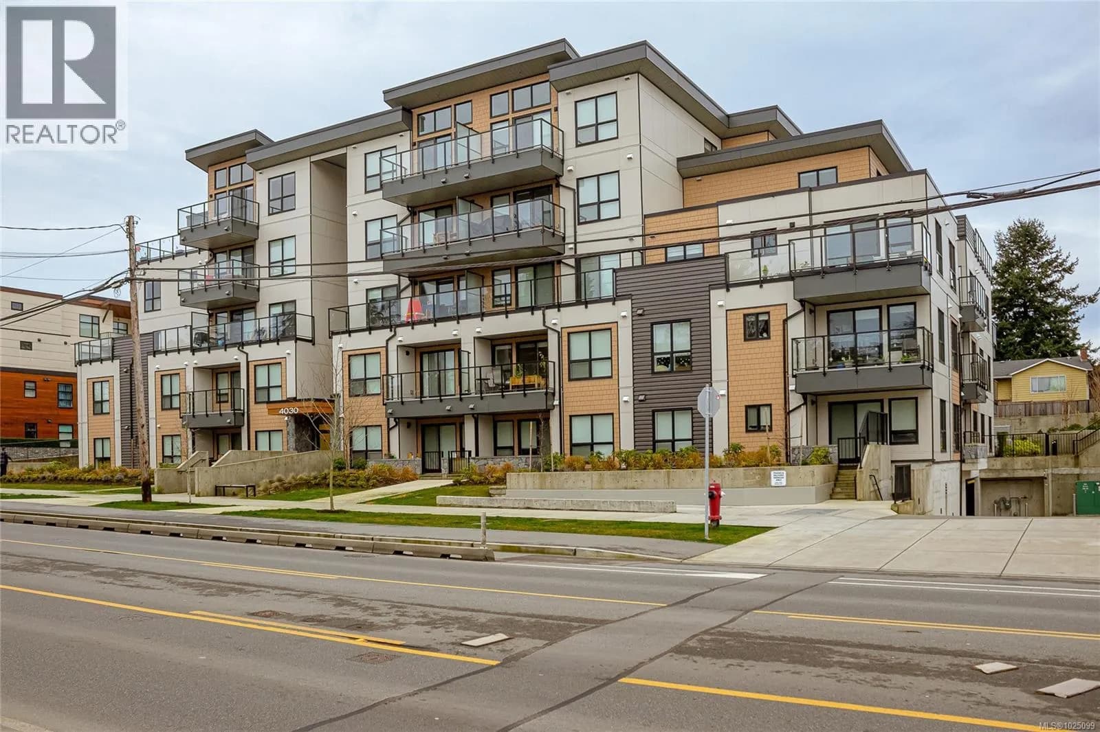 #203 4030 Shelbourne St, Saanich, BC photo 1