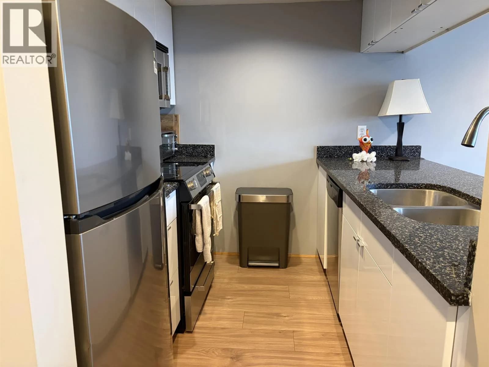 #510 1060 ALBERNI STREET, Vancouver, BC photo 3