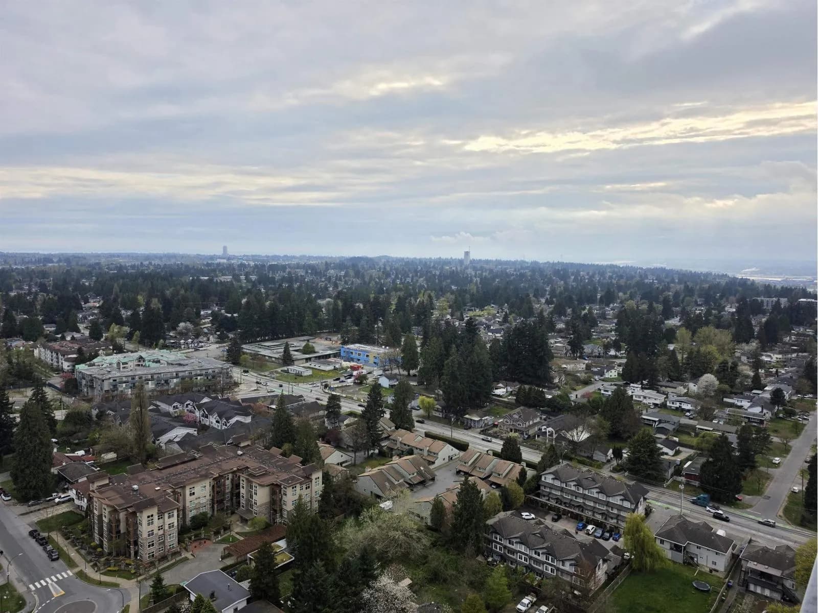 Evolve, Surrey