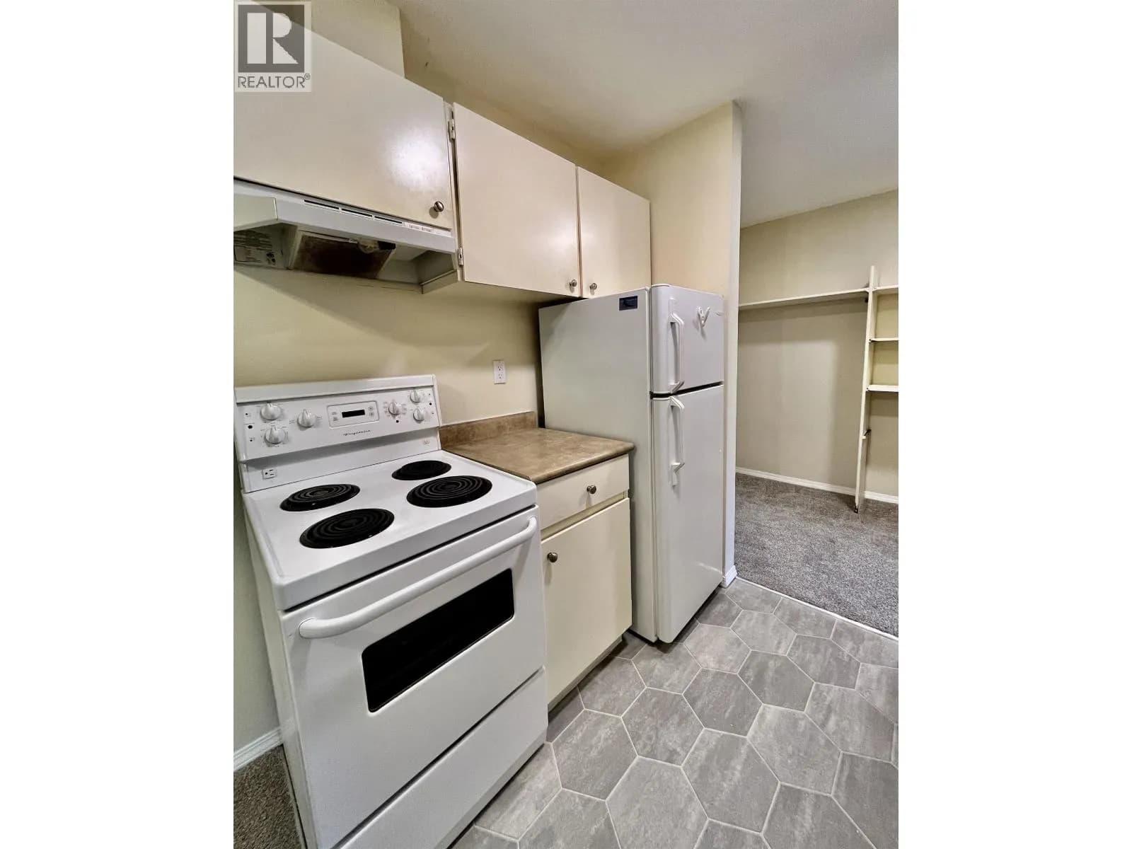 #103 282 N BROADWAY AVENUE, Williams Lake, BC photo 4