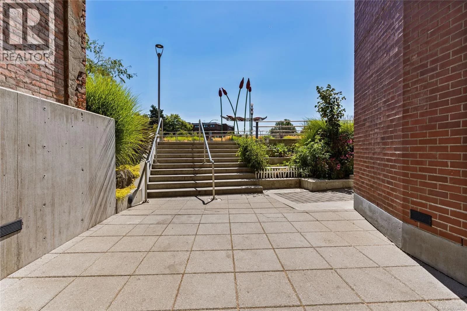 #211 456 Pandora Ave, Victoria, BC photo 3
