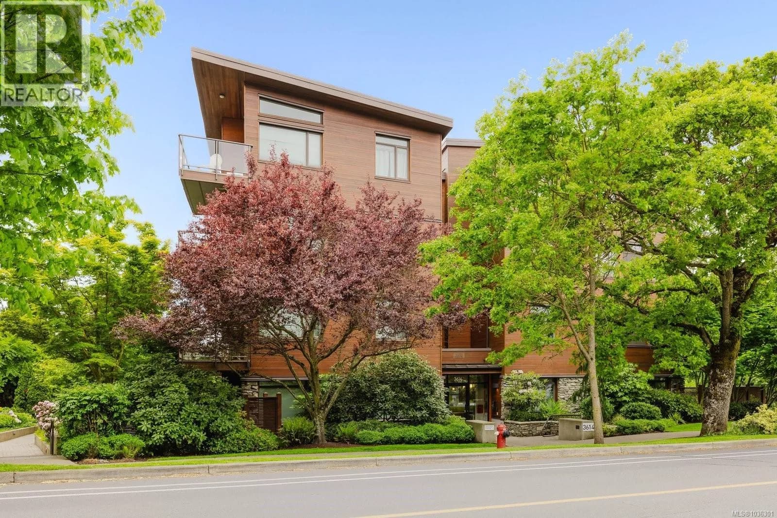 #203 3614 Richmond Rd, Saanich, BC photo 1