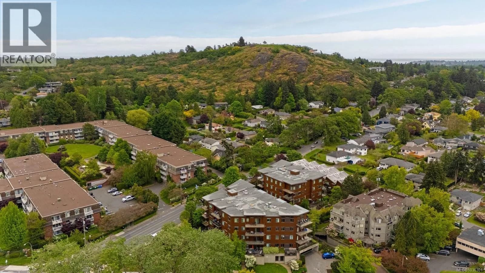 #203 3614 Richmond Rd, Saanich, BC photo 2