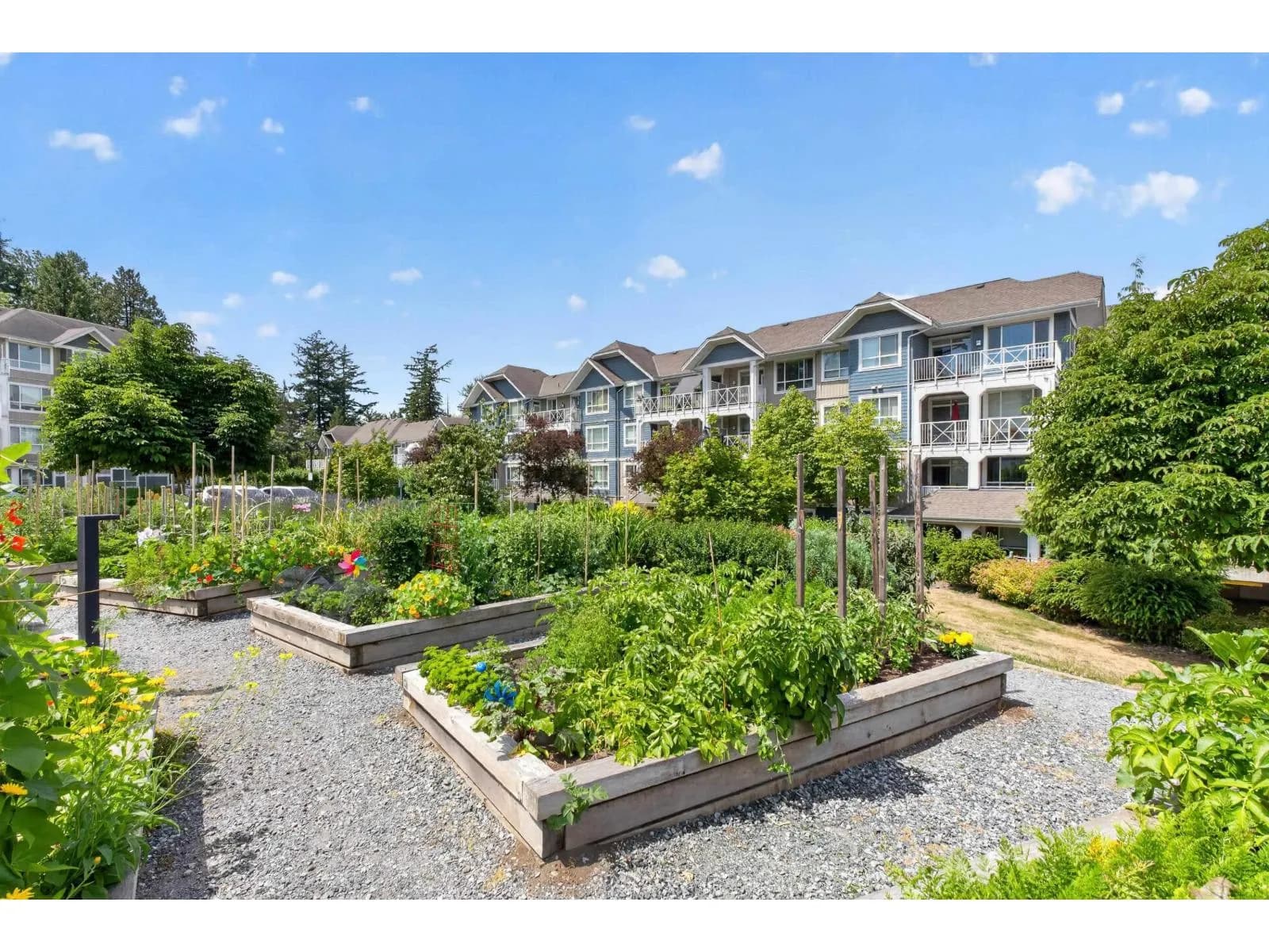 #309 16380 64 AVENUE, Surrey, BC photo 5