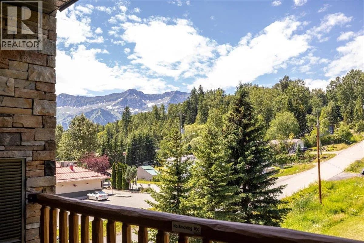 #302 1500 MCDONALD Avenue, Fernie, BC photo 3