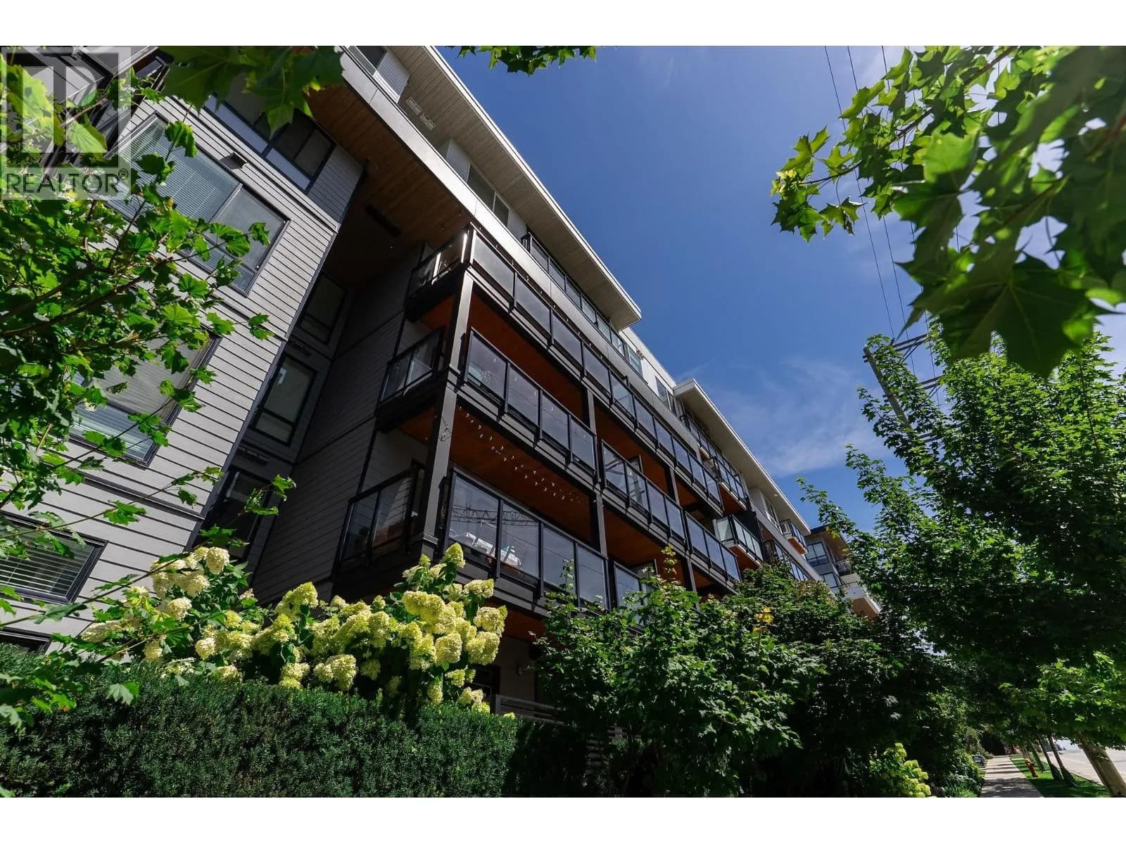 #206 707 COMO LAKE AVENUE, Coquitlam, BC photo 3