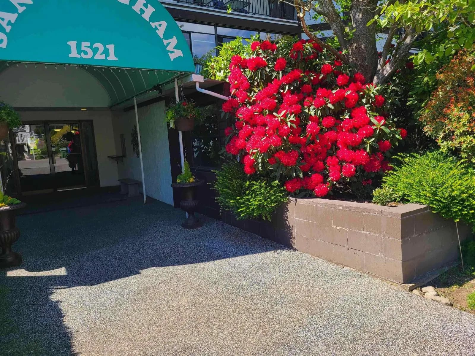 1521 BLACKWOOD STREET, White Rock
