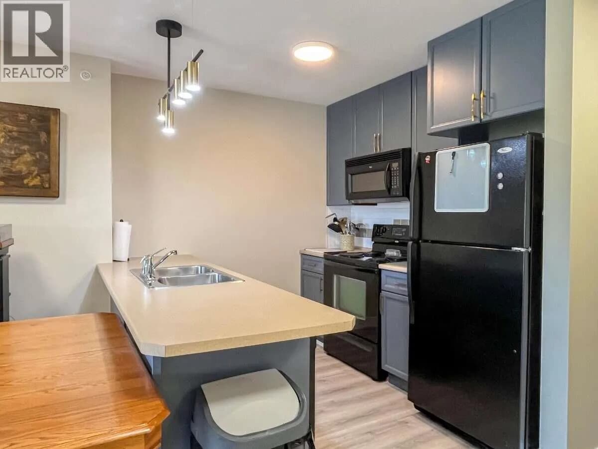 #405 246 HASTINGS Avenue, Penticton, BC photo 4