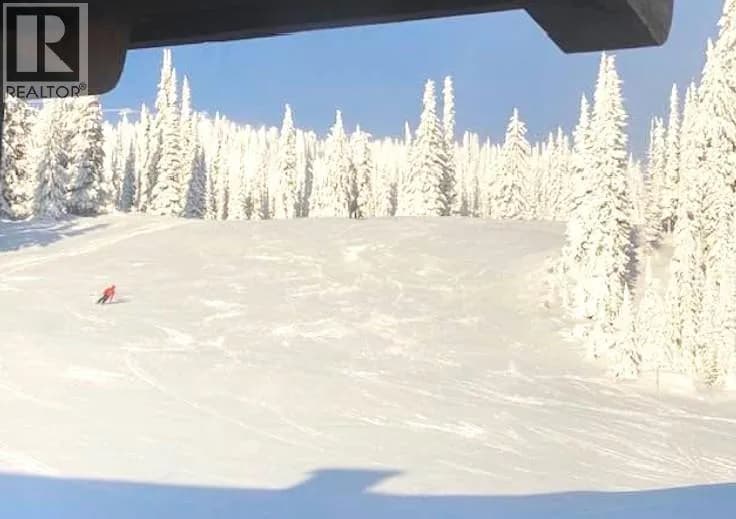 #306 7700 Porcupine Road, Big White, BC photo 3