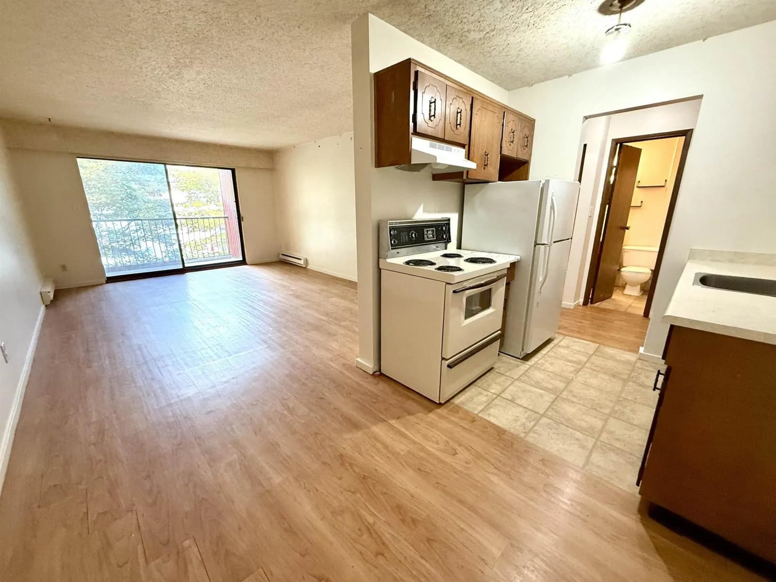 #334 1735 AGASSIZ-ROSEDALE NO 9 HIGHWAY, Agassiz, BC photo 3