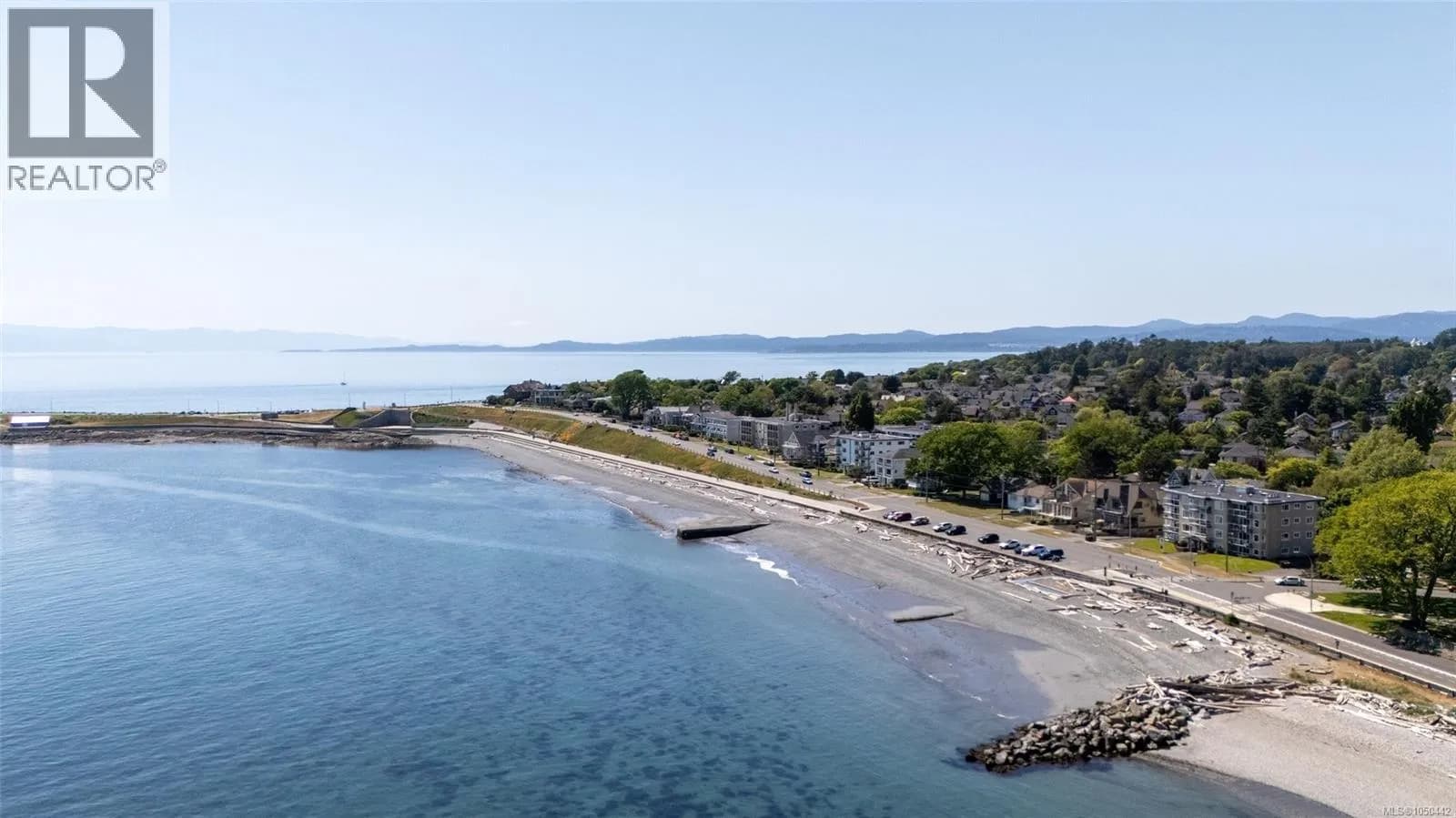#103 1540 Dallas Rd, Victoria, BC photo 5