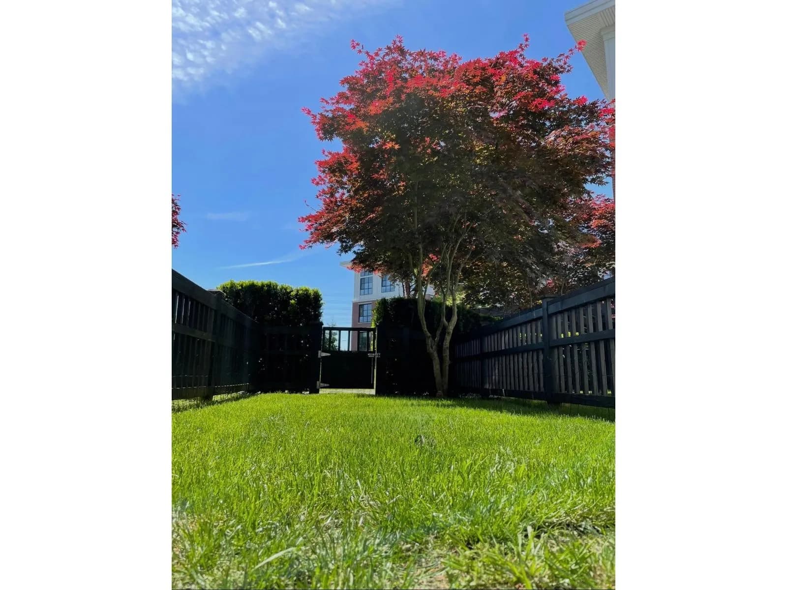 #132 15168 33 AVENUE, Surrey, BC photo 3