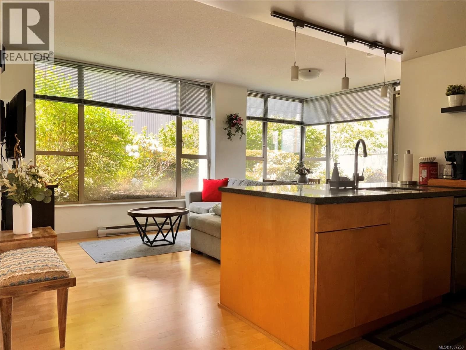 #208 760 Johnson St, Victoria, BC photo 4