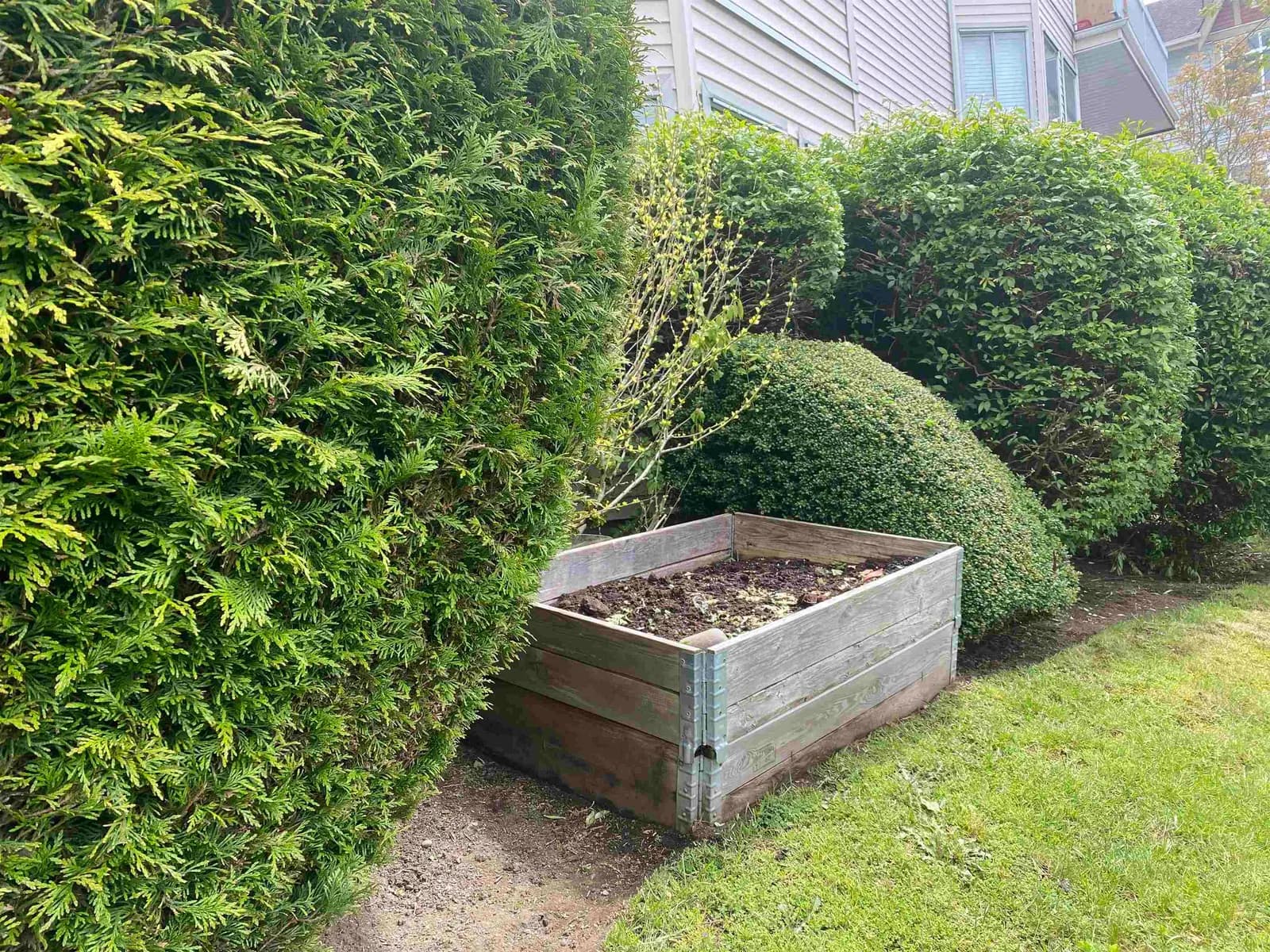 #103 9299 121 STREET, Surrey, BC photo 4